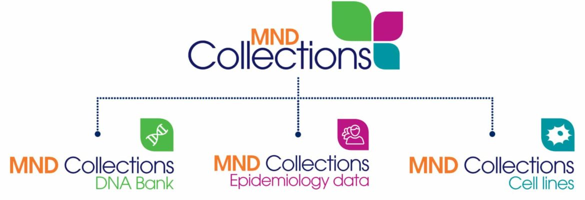 MND Collections