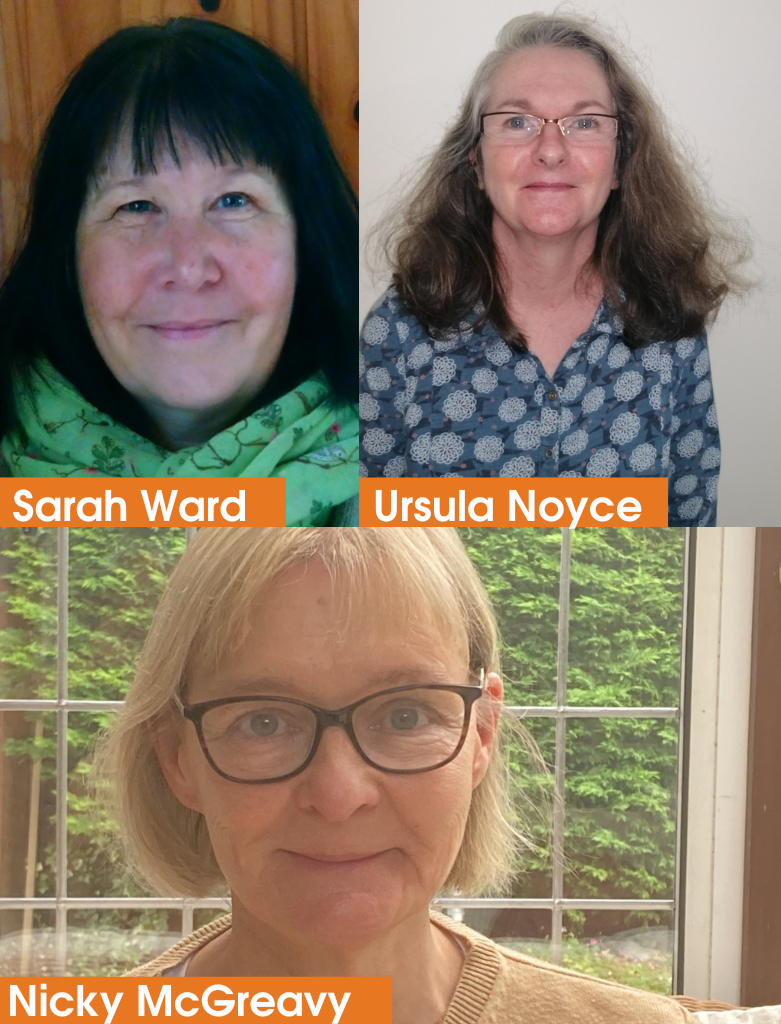 photo of suffolk group Community Nurses