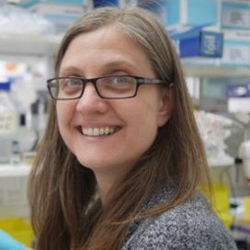 photo of Dr Martina Hallegger,